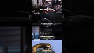 Anaconda 1997 vs Anaconda 2004 vs Anaconda 2008 vs Anaconda 2009