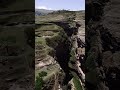 И все же - пытаюсь понять - почему ? Причина в чем? Ведь любой корявый адвокат с легкостью выиграл