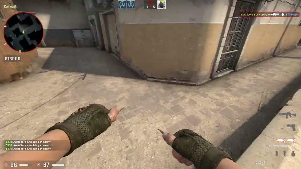 How To Make Wild Gooseman Chase Achievement CSGO YouTube