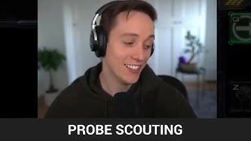 12 Pool vs No Probe Scout