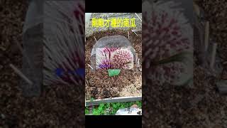 💖手機螢幕錄影💋手機內鍵功能，操作方便簡單!