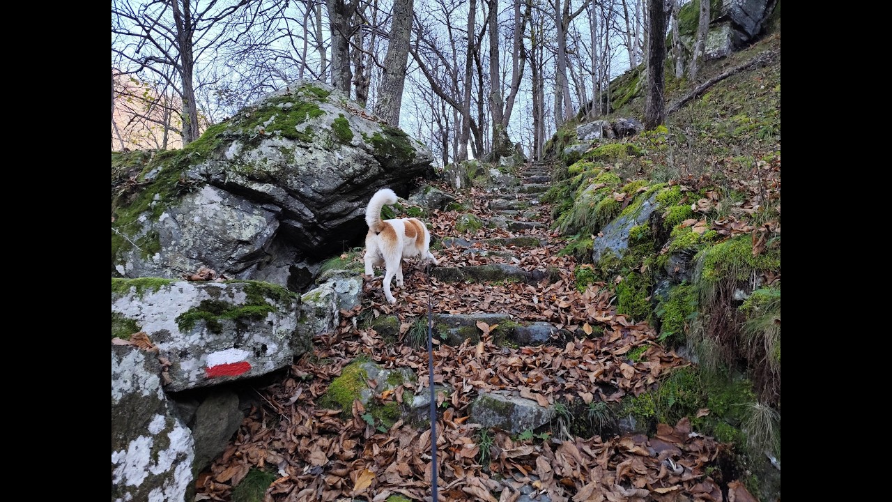 Escursione ad anello a Locana per l'Altare Celtico e il ponte romanico Verné 10_11_2024