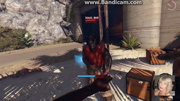 Dead Island Definitive Edition Bug