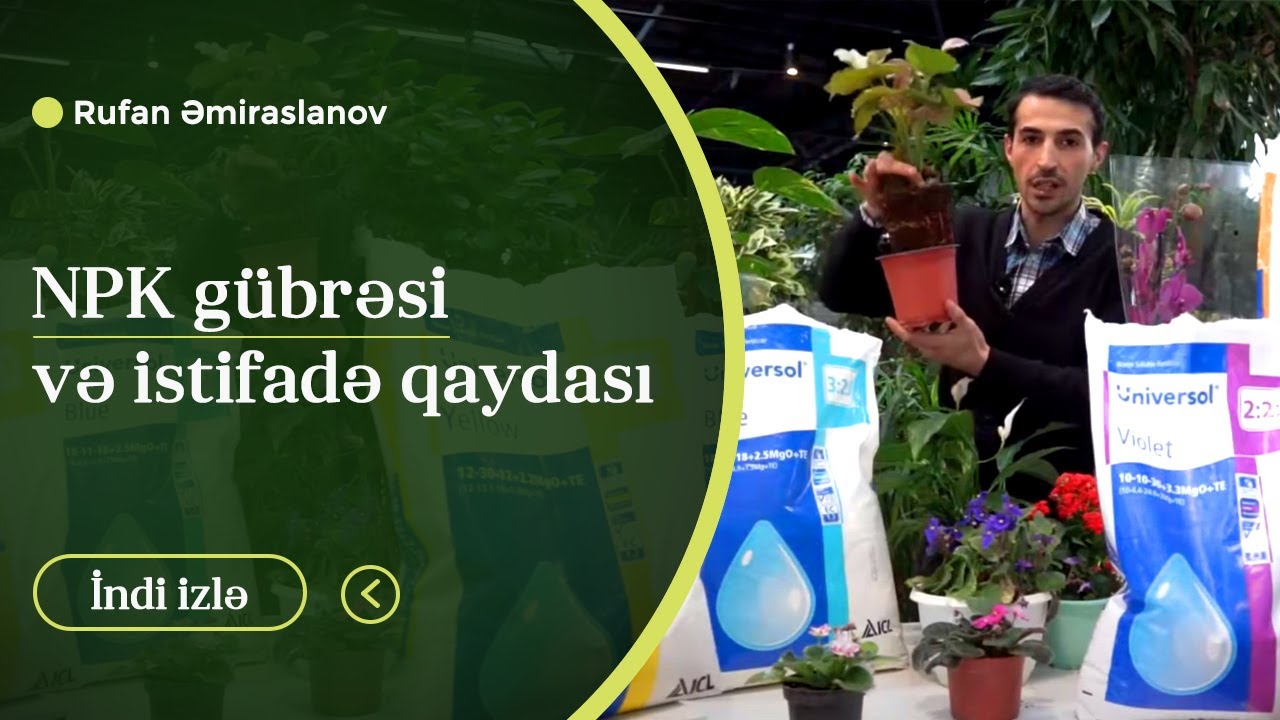 NPK gübrəsi və istifadə qaydası #gübre