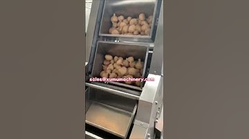 Z type coffee beans bucket conveyors/stainless steel grain slope bucket elevator for nut,seeds etc