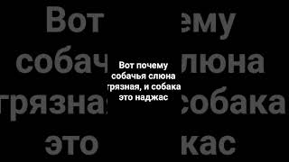 #историяиблиса #ценныйурок #исламскиешорты #мудростьислама #исламскиеистории #аллоху
