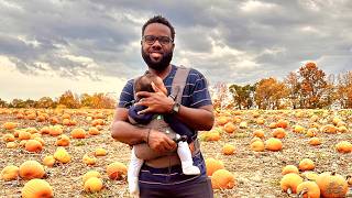 Inside Dyment's Pumpkin Patch Farm & Haunted House 🎃