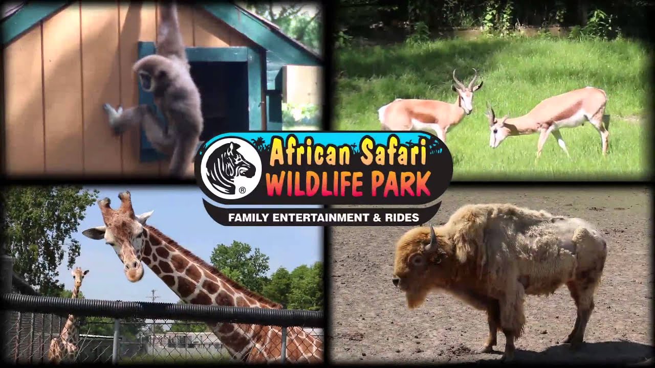 african safari wildlife park cincinnati