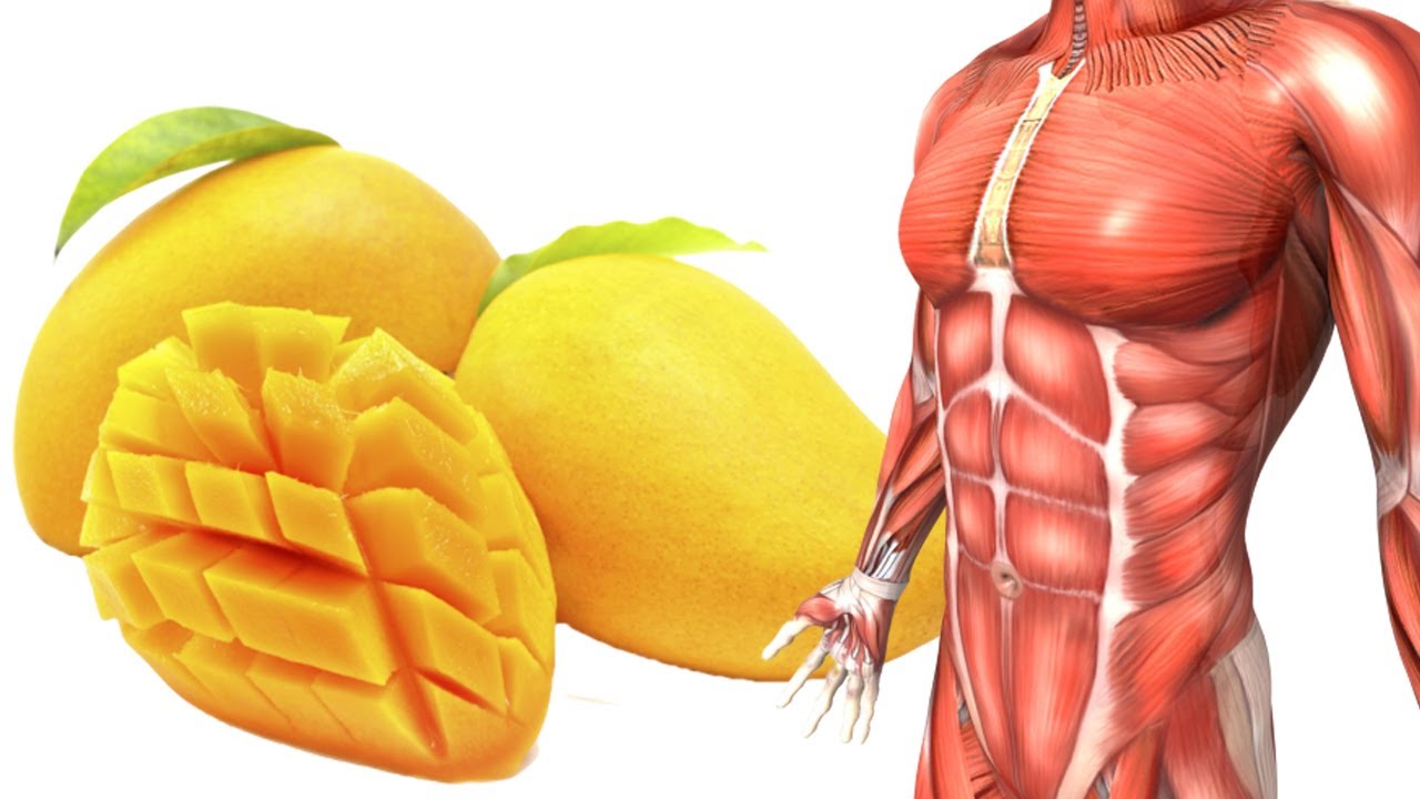 Top 7 Mango Health Benefits Mango Fruit Benefits for Skin Mango