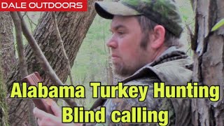 Alabama TURKEY HUNTING/  Blind Calling For TURKEYS
