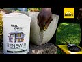 Fired Earth Renew-It: Restoring Colour To Your Home