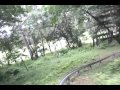 (시우네가족 Siwoo's Family) 용평리조트 마운틴코스터