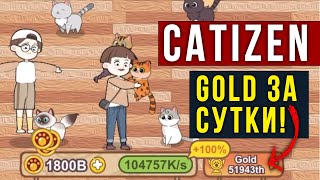 Catizen с НУЛЯ до Gold за 1 день - Набрал более 1 млрд монет, показываю как 🔥