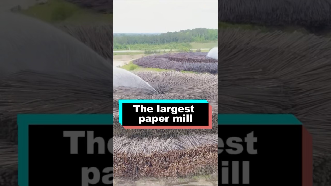 The largest paper mill