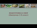 ВПР по биологии № 13 (7-8 класс)