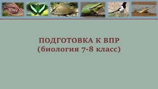 ВПР по биологии № 13 (7-8 класс)