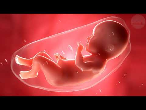 Pregnancy Music To Make Baby Move Relaxing Soothing Music For Pregnant Women