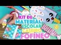 CRIANDO KIT DE MATERIAL ESCOLAR CASEIRO SEM GASTAR NADA #8 🤓 | KIM ROSACUCA