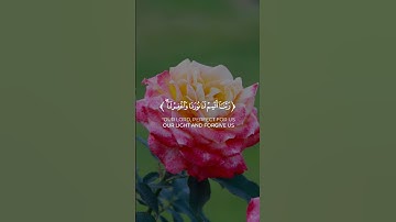 🌿تلاوة من سورة التحريم 🌿القارئ أحمد خضر 🌿#قران_كريم 🌿 #qurantranslation 🌿 #تلاوة_مميزة🌿 #اسلام 🌿