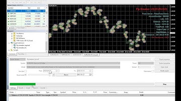 PIP BRE EA Unlimited MT4 System Metatrader 4 Forex Trading