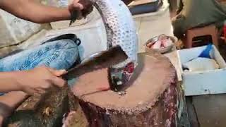 Amazing fish cutting.