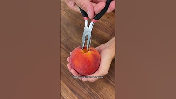 Thumbnail of How to Easily Remove the Pit of a Peach with Pliers!