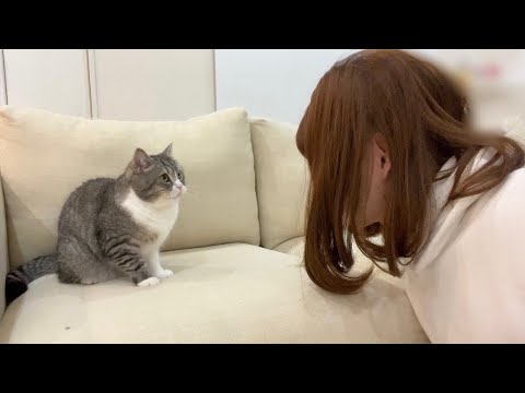 女装した飼い主が近づいてきたら猫がまさかのこうなりましたw