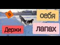 Как научить собаку выдержке? ДРЕССИРОВКА.