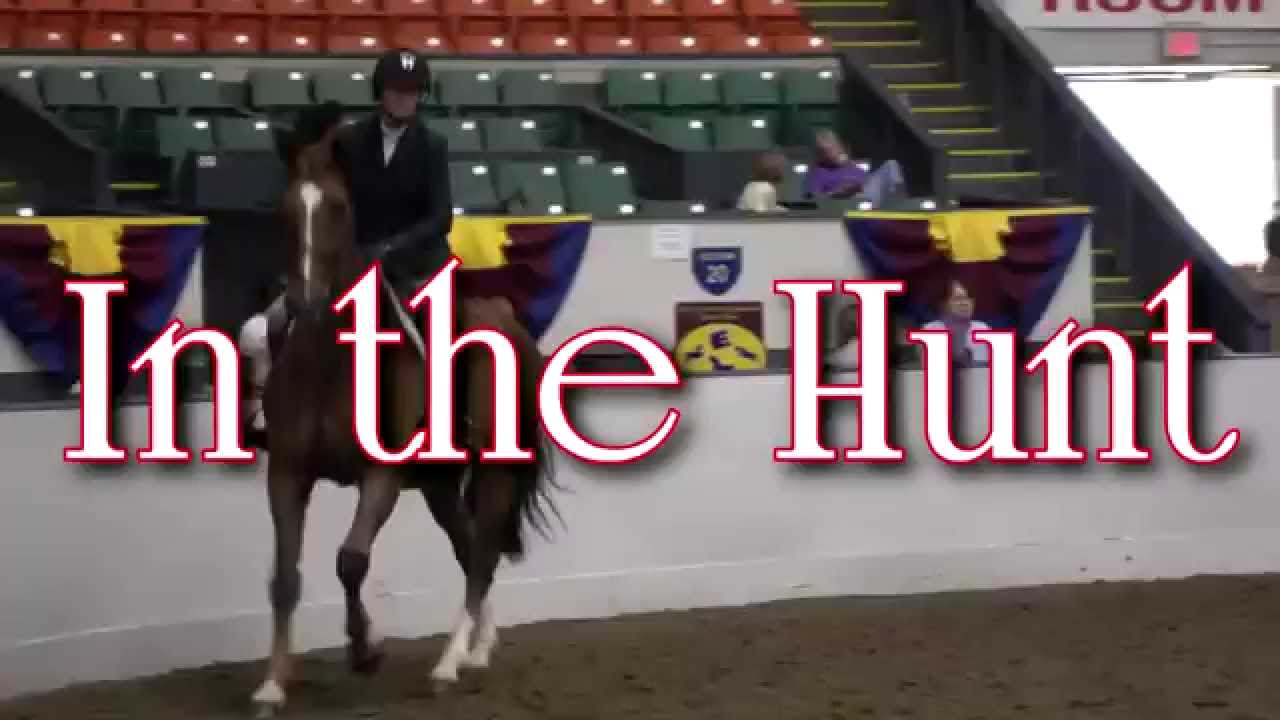 big-e-horse-show-vignette-15-in-the-hunt-youtube