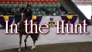 Big E Horse Show Vignette '15 -  In The Hunt