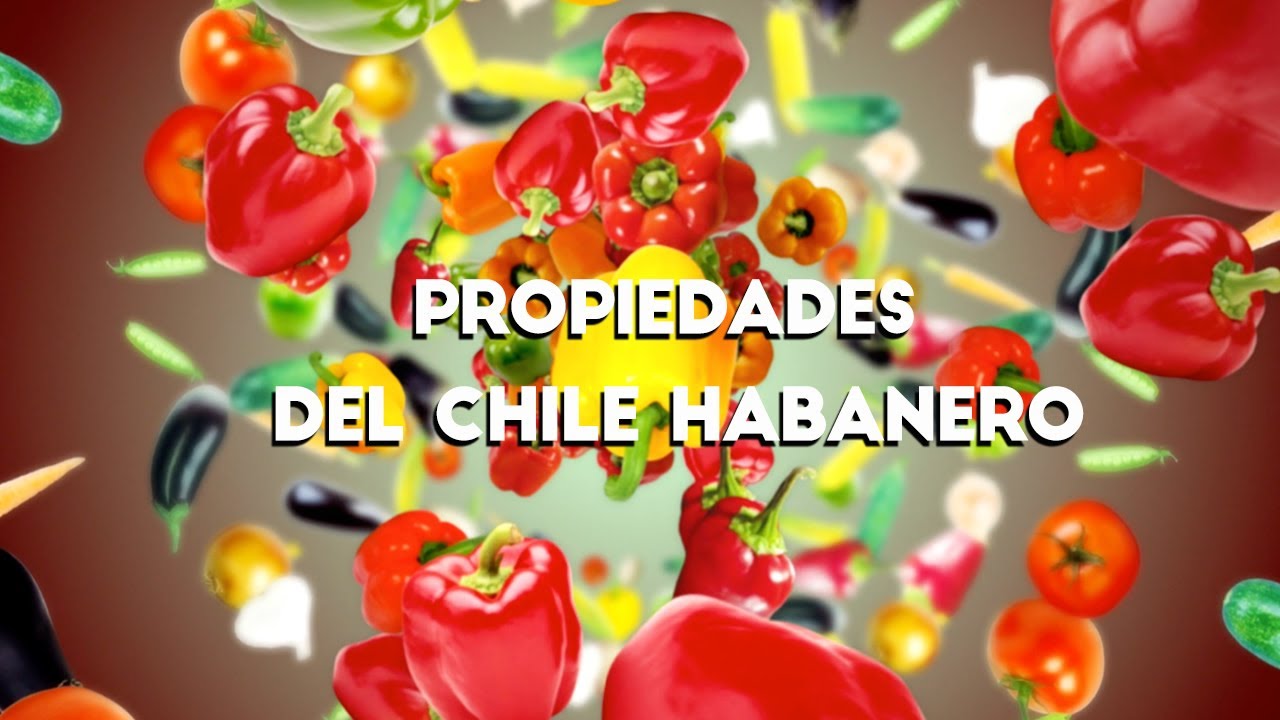 Las Maravillosas Propiedades del Chile Habanero Aunque Usted no lo Crea