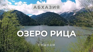 Озеро Рица Абхазия 2021. Как Добраться Автостопом. Экскурсия Рицца. Что посмотреть в Абхазии. Обзор