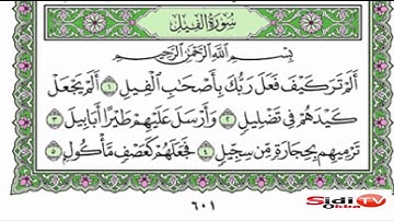 سورة الفيل من المصحف المعلم للشيخ المنشاوي.مكررة لتسهيل الحفظ للأطفال