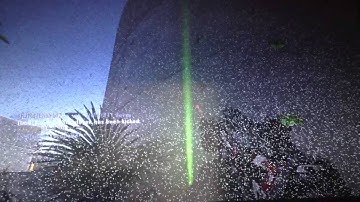 Black Ops 2 tack insert trolling