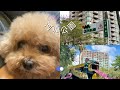 【vlog】高雄河堤公園遛小孩 Walking dogs in Hedi Park, Kaohsiung City