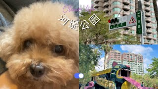 【vlog】高雄河堤公園遛小孩 Walking dogs in Hedi Park, Kaohsiung City