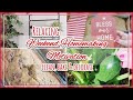 RELAXING HOMEMAKING WEEKEND MOTIVATION │CLEAN, BAKE AND DECORATE