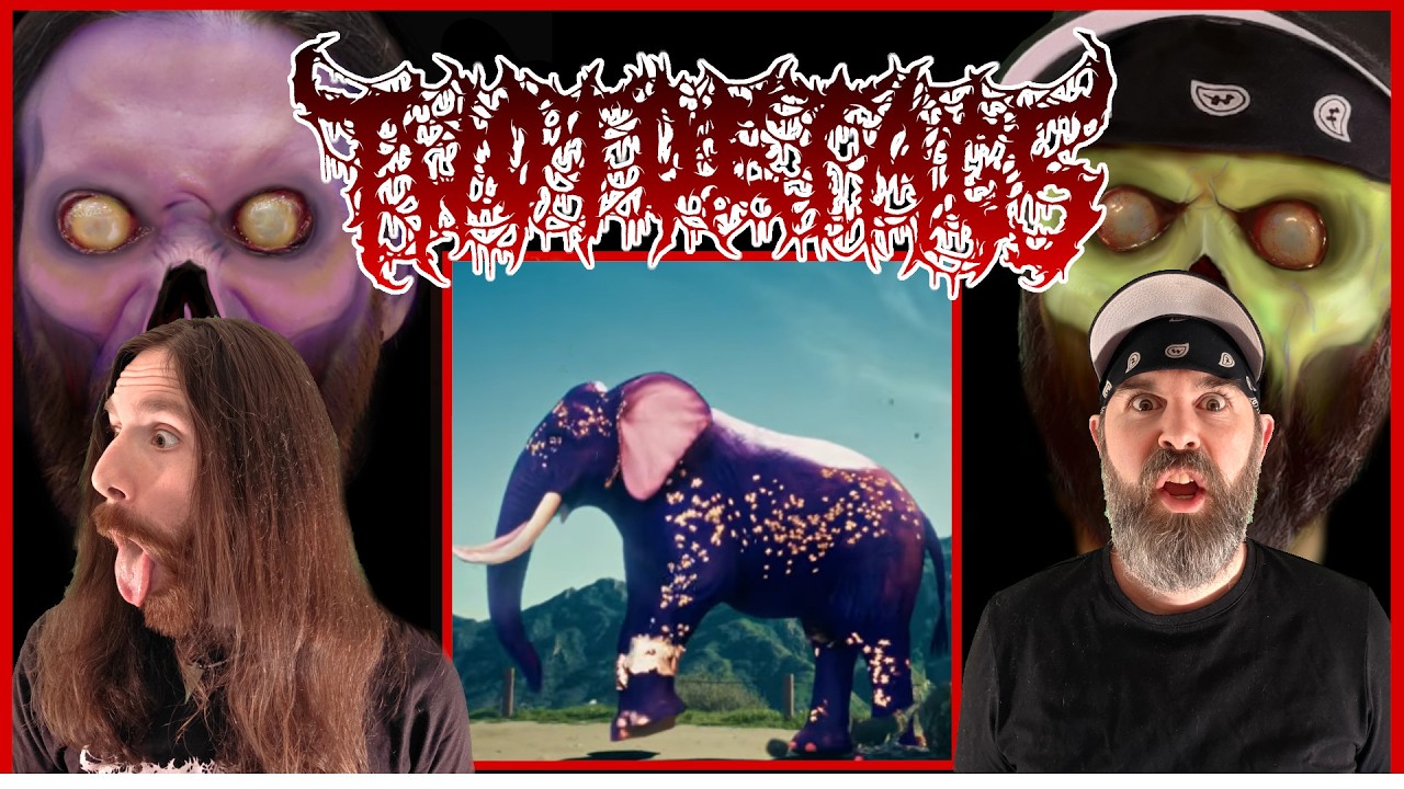 🤘Nekrogoblikon - Secret Elephant - REACTION