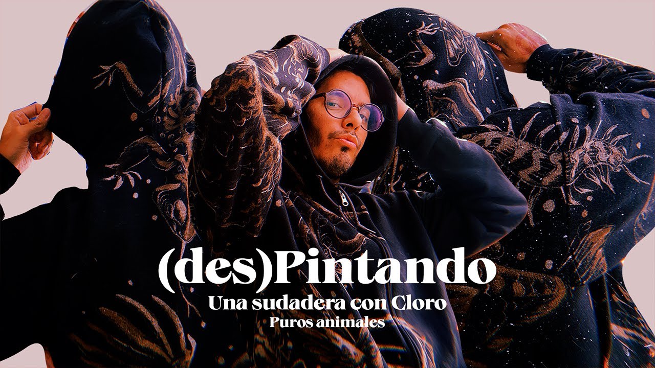 (des)Pintando una sudadera con Cloro #animales #diy #tutorial #bleach