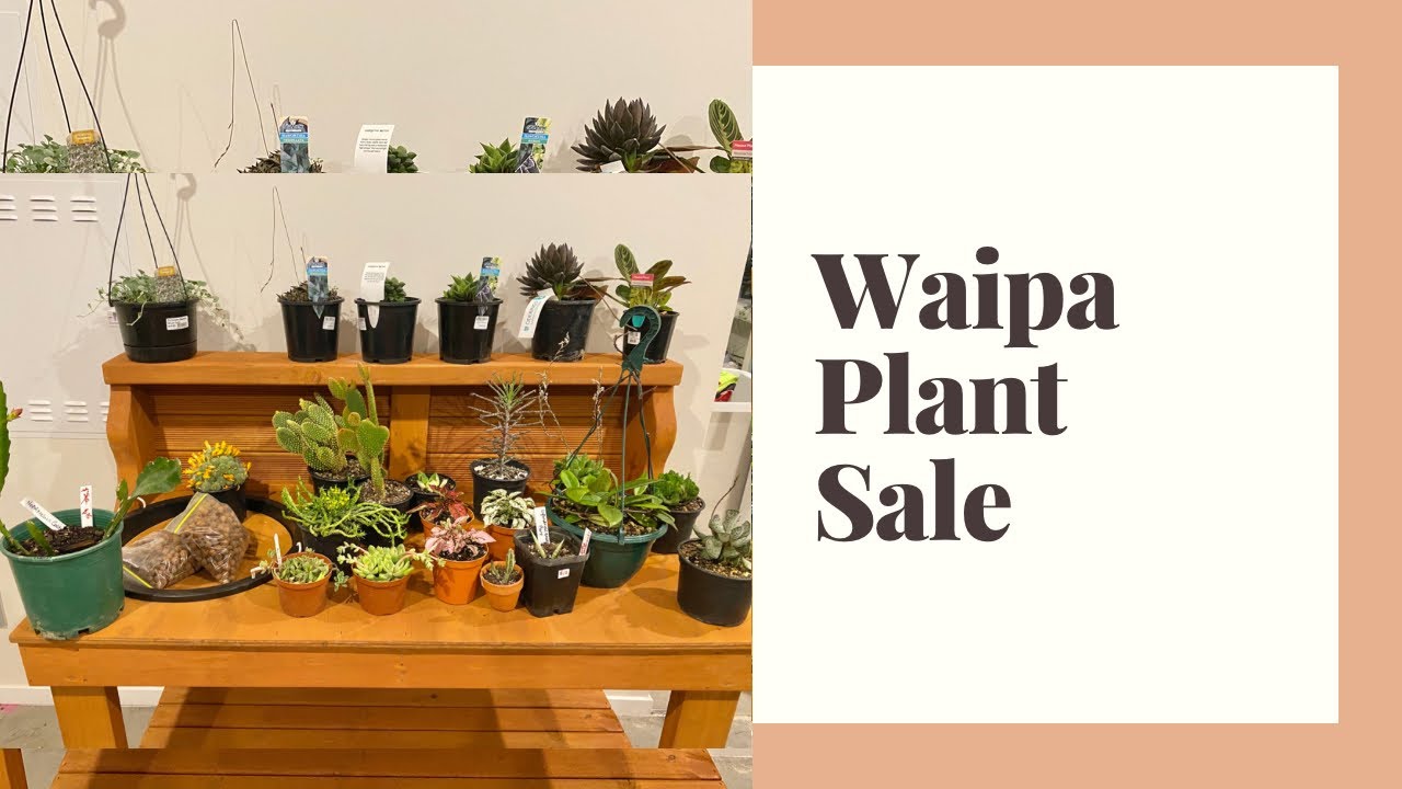 Waipa Plant Sale // New Zealand YouTube