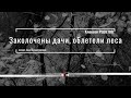 Алексей РЕШЕТОВ "Заколочены дачи, облетели леса" читает Анна Бердичевская