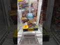 ☆これからの季節に必要なバーベキューセット200円で?!☆#ufoキャッチャー #クレーンゲーム #clawmachine #인형뽑기 #夾娃娃機 #shortsvideo #shorts