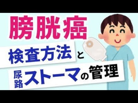 【検査や術後から社会資源まで】膀胱癌と尿路ストーマについて解説