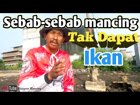 Video: 8 Alasan Mengapa Anda Tidak Menangkap Ikan