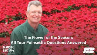 The Flower of the Season: All Your Poinsettia Questions Answered by American Farm Bureau 100 views 5 months ago 26 minutes