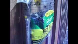 Rescue Brand Fly Trap #4