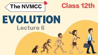 Evolution 🦍 #lecture6 #neet #class12th