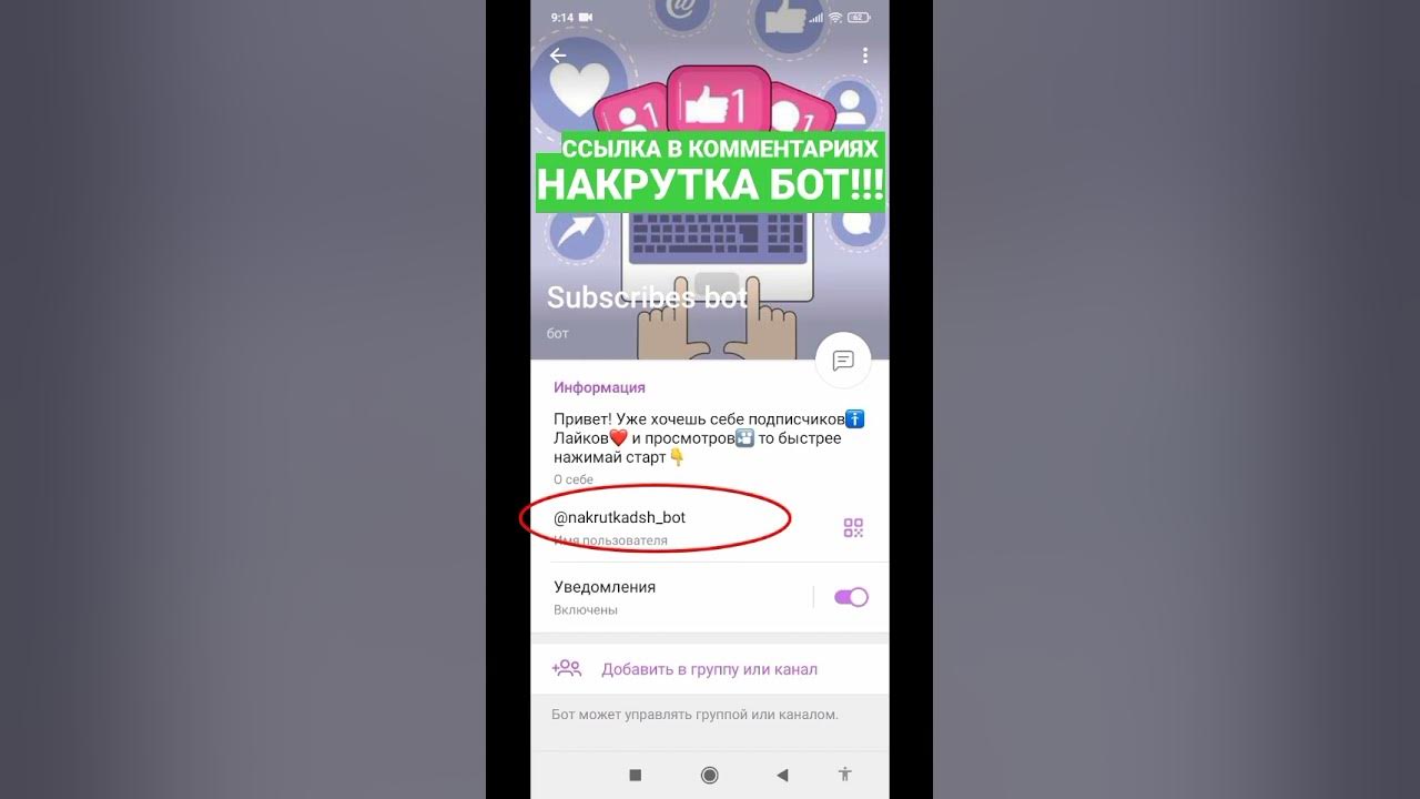 Hamster бот накрутка друзей. Hamster бот накрутка друзей