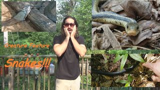 S2:Ep5    Garden Craft Creature Feature--- Snakes!