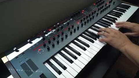 Dave Smith Prophet 12 beat video